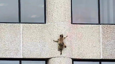 Nature's Strangest Mysteries: Solved Season 1 Episode 2