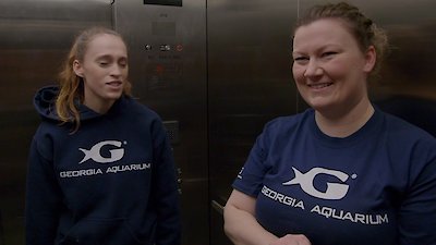 The Aquarium Season 1 Episode 2