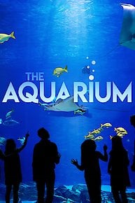 The Aquarium