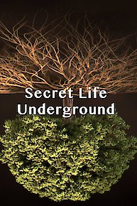 Secret Life Underground