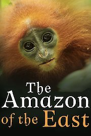 The Amazon of the East