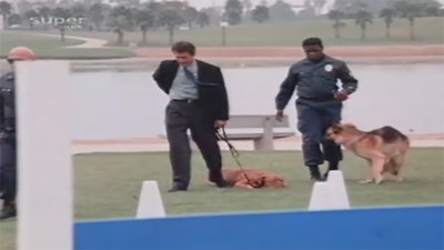 Tequila & Bonetti Season 1 Episode 9