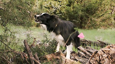 Exhibit A Season 1 Episode 3