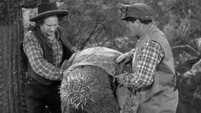 Three Stooges Collection 1934-1936 Season 3 Episode 18