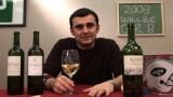 Torrontes: The White Wine of Argentina on Display