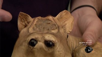 Oddities Season 3 Episode 6