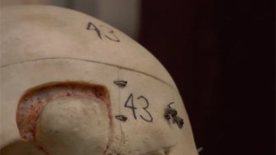 Oddities Season 3 Episode 8