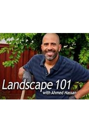 Landscape 101 with Ahmed Hassan