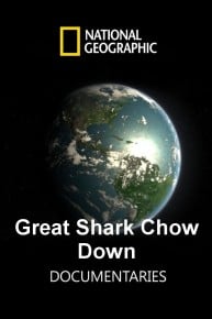 Great Shark Chow Down