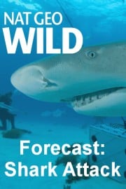 Forecast: Shark Attack