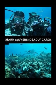 Shark Movers: Deadly Cargo