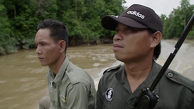 Orangutan Jungle School Season 1 Episode 3