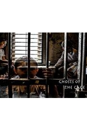 Buried Alive Paranormal