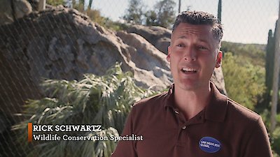The Zoo: San Diego Season 1 Episode 1