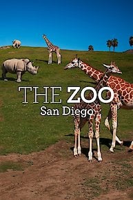 The Zoo: San Diego