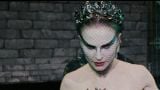 'Black Swan,' 'The King's Speech,' and the DVD Release of 'The Twilight Saga: Eclipse'