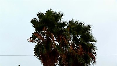 Storage Wars Season 15 Episode 7