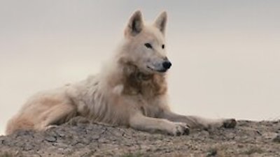 Kingdom of the White Wolf Season 1 Episode 3