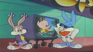 Watch Tiny Toon Adventures Season 1 Episode 48 - Mr. Popular's Rules of ...