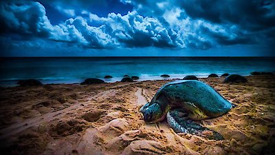 Magical Land of Oz Season 1 Episode 1