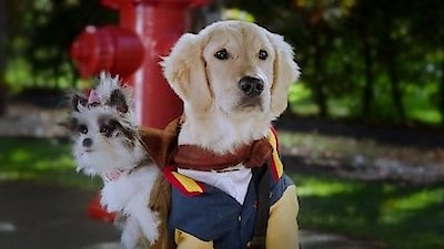 Pup Academy Season 1 Episode 5