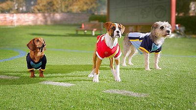 Pup Academy Season 1 Episode 10