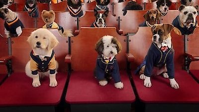 Pup Academy Season 2 Episode 1