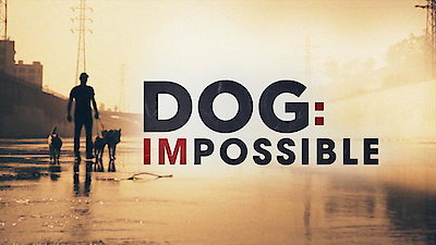 Dog: Impossible Season 1 Episode 4
