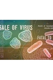 The Vaccines Project