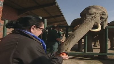 Two Fat Ladies Season 4 Episode 22