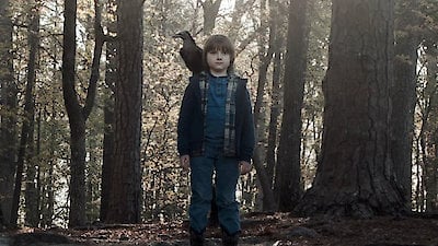 Raising Dion (TV Series 2019–2022) - IMDb