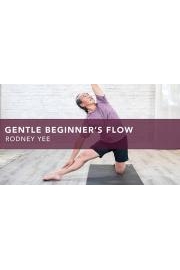 Gentle Beginner's Flow