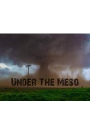 Under The Meso
