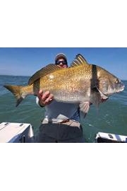 Jim Baugh Outdoors TV