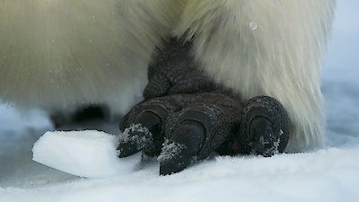 Life From Above Season 1 Episode 2