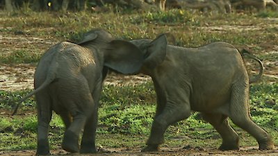 Life From Above Season 1 Episode 3