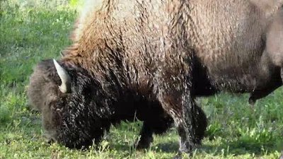 When Vacations Attack Season 1 Episode 5