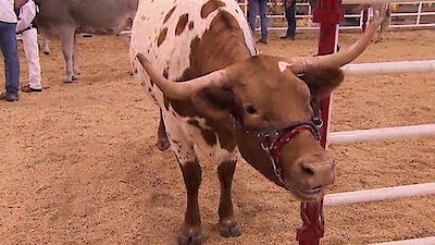 When Vacations Attack Season 1 Episode 12