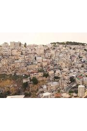 Searching for a King