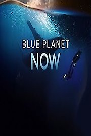 Blue Planet Now