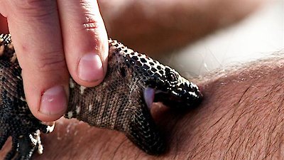 Kings of Pain Season 2 Episode 4