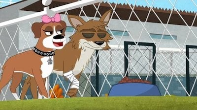 Pound Puppies Season 1 Episode 12