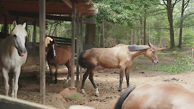 Blind Date Season 1 Episode 33