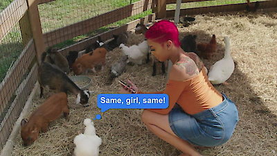 Blind Date Season 1 Episode 44