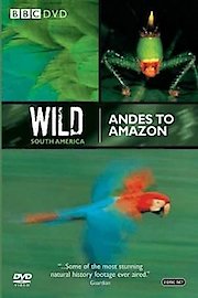 Wild South America