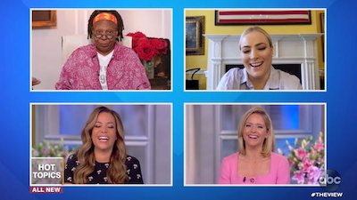 The View Season 23 Episode 131