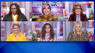 The View Season 25 Episode 17