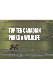 Top Ten Parks & Wildlife