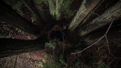 Expedition Bigfoot Season 5 Episode 6