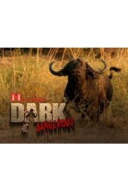 Hornady's Dark and Dangerous